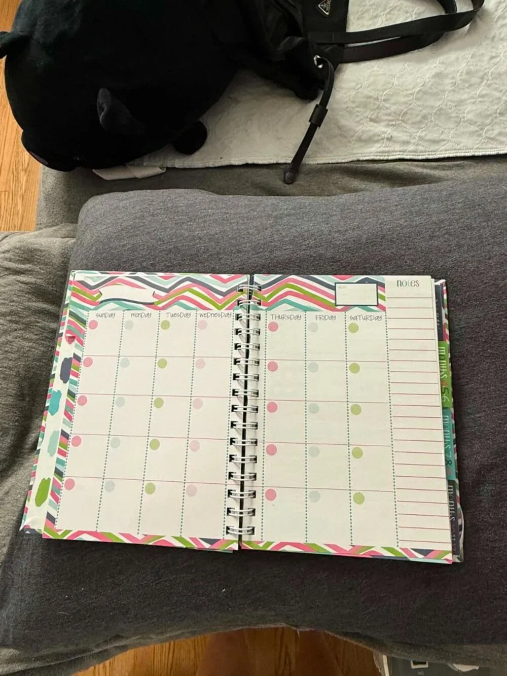 Denise Albright Budget Binder™ Undated 12-Month Budget Planner Workbook